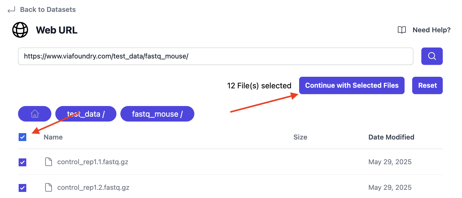 Image of File Selection