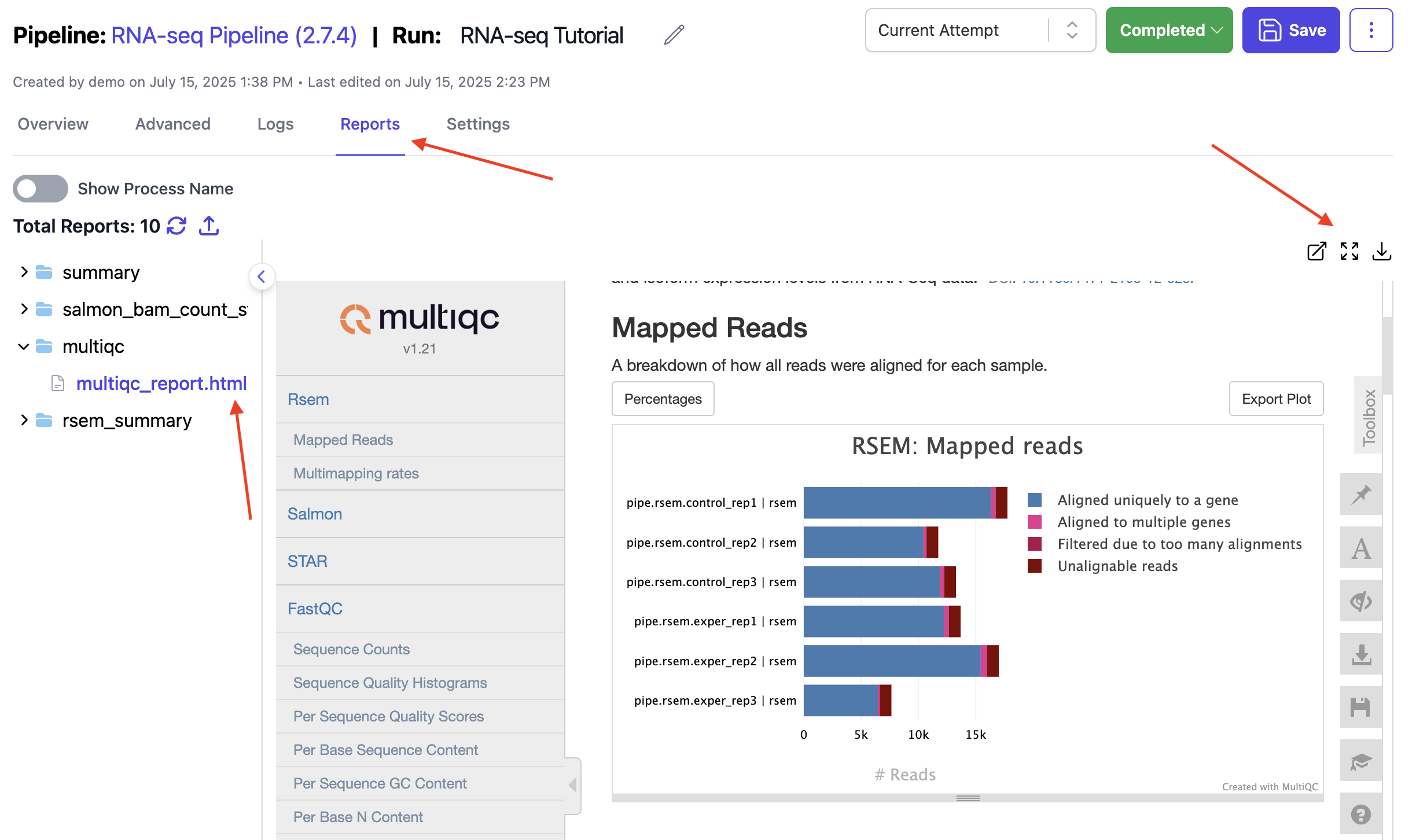 Image of MultiQC Report